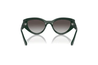 Πίσω όψη Vogue Eyewear VO5566S (31228G)