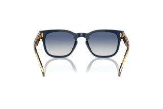 Πίσω όψη Vogue Eyewear VO5571S (31434L)