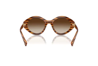 [glasses-back-view] Vogue Eyewear VO5576SB (150813)
