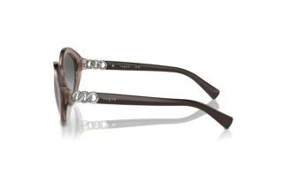 [glasses-side-view] Vogue Eyewear VO5576SB (294011)