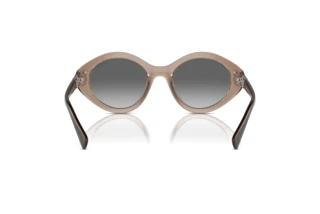 [glasses-back-view] Vogue Eyewear VO5576SB (294011)