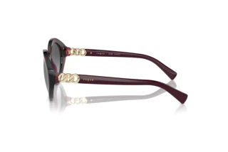 Πλευρική όψη Vogue Eyewear VO5576SB (2989T3)
