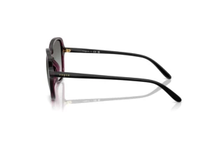 Vista lateral Vogue Eyewear VO5601S (298911)