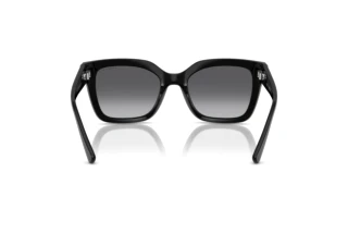 Vista posterior Vogue Eyewear VO5613SB (W44/T3)