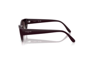 Sivukuva Vogue Eyewear VO5616S (24268G)