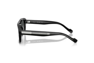 [glasses-side-view] Vogue Eyewear VO5620S (W44/T3)