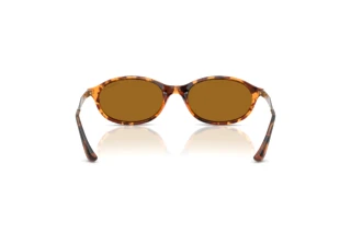 [glasses-back-view] Vogue Eyewear VO5625S (320083)