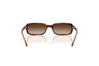 [glasses-back-view] Vogue Eyewear VO5666S (W65613)