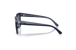 [glasses-side-view] Vogue Eyewear VO5690S (22884L)