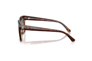 [glasses-side-view] Vogue Eyewear VO5690S (23868G)