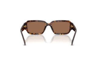 [glasses-back-view] Vogue Eyewear VO5693SU (W65673)