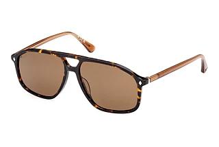 Web Eyewear WE0338 52H