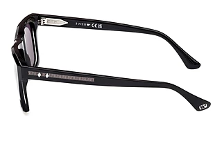 [glasses-side-view] Web Eyewear WE0350 (05A)