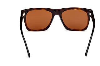 Vy bakifrån Web Eyewear WE0350 (55E)