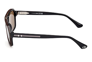 [glasses-side-view] Web Eyewear WE0376 (50E)