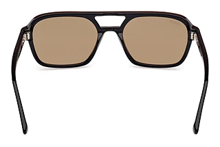 [glasses-back-view] Web Eyewear WE0376 (50E)