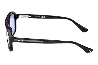 Sidovy Web Eyewear WE0376 (56V)