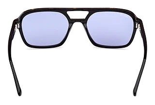 Vy bakifrån Web Eyewear WE0376 (56V)