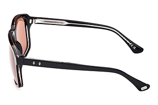 Sidovy Web Eyewear WE0378 (56J)