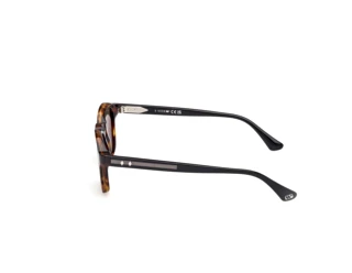 Vista lateral Web Eyewear WE0384 (55N)