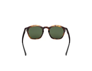 Vista posterior Web Eyewear WE0384 (55N)