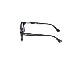 Vedere laterală Web Eyewear WE0384 (56V)