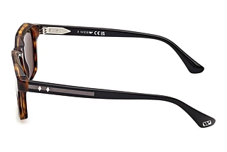 Sidovy Web Eyewear WE0385 (55N)
