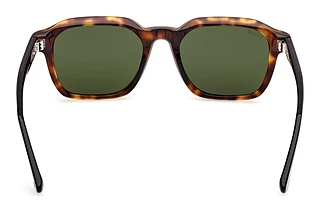 Vy bakifrån Web Eyewear WE0385 (55N)