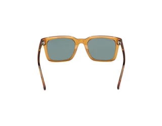 [glasses-back-view] Web Eyewear WE0388 (39N)