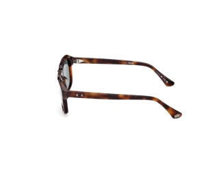 [glasses-side-view] Web Eyewear WE0389 (52N)