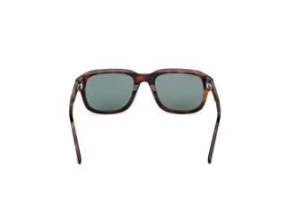 [glasses-back-view] Web Eyewear WE0389 (52N)