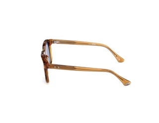Vedere laterală Web Eyewear WE0390 (39V)