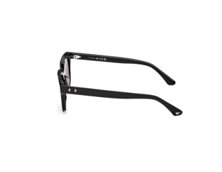 Vista lateral Web Eyewear WE0391 (01A)