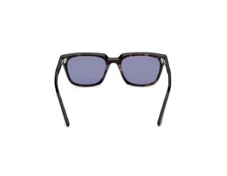 [glasses-back-view] Web Eyewear WE0391 (05V)