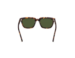 [glasses-back-view] Web Eyewear WE0391 (52N)