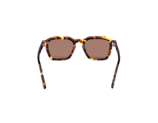 [glasses-back-view] Web Eyewear WE0392 (55E)