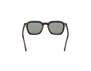 [glasses-back-view] Web Eyewear WE0392 (56N)
