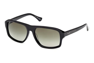 Web Eyewear WE0393 01P grün verlaufendGlänzend Schwarz