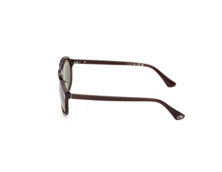 [glasses-side-view] Web Eyewear WE0394 (56N)