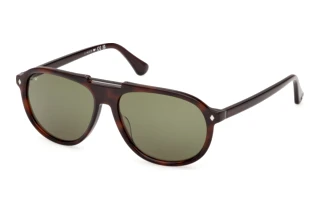 [glasses-front-view] Web Eyewear WE0394 (56N)