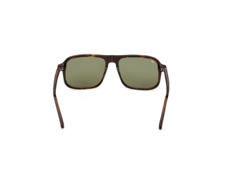 [glasses-back-view] Web Eyewear WE0396 (56N)
