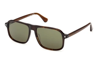 [glasses-front-view] Web Eyewear WE0396 (56N)