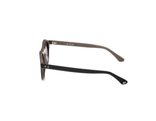 [glasses-side-view] Web Eyewear WE0398 (05A)