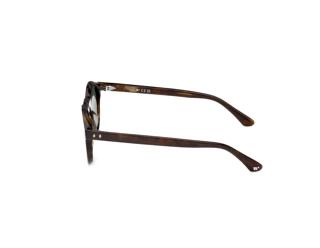 [glasses-side-view] Web Eyewear WE0398 (52N)