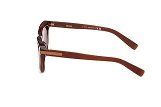 Sidovy Zegna EZ0269 (50E)