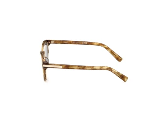 [glasses-side-view] Zegna EZ0284-H (47N)