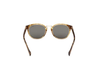 [glasses-back-view] Zegna EZ0284-H (47N)