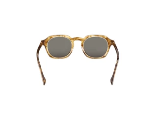 [glasses-back-view] Zegna EZ0286 (47N)