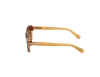 [glasses-side-view] Zegna EZ0299 (50E)