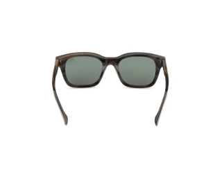 [glasses-back-view] Zegna EZ0303 (55R)